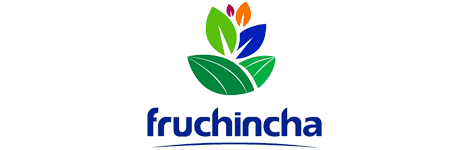 Un logotipo para fruchincha con una flor y hojas sobre un fondo blanco.