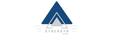 Un logotipo azul y blanco para synergya inc.