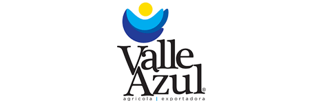 Se muestra un logotipo de Valle Azul sobre un fondo blanco.
