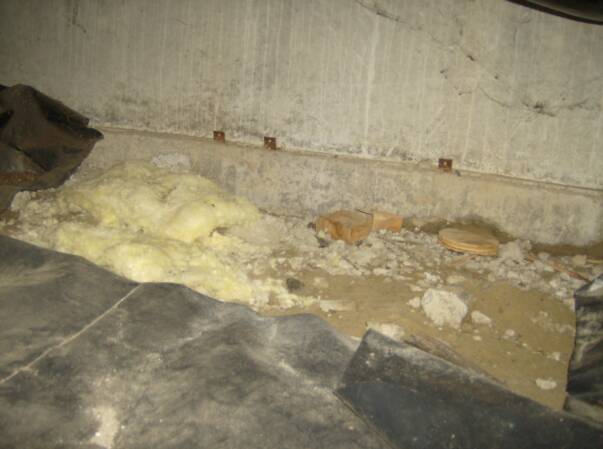 Molded Crawlspace — Bremerton, WA — A Better Crawl, Inc.