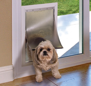 In-Glass Pet Door on sliding patio door with shih tzu dog