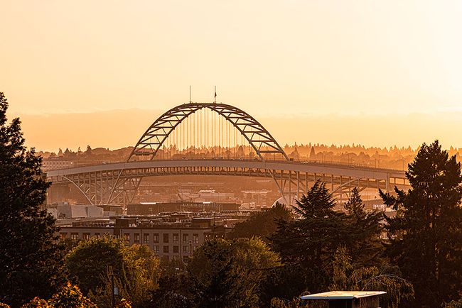 Bridge arching over a cityscape, bathed in warm sunlight, with trees in the foreground.