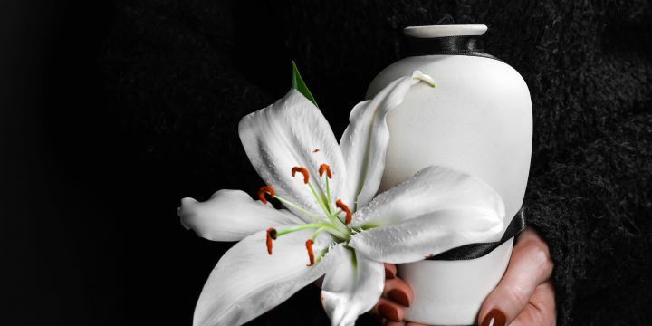 cremation services in Chaska, MN