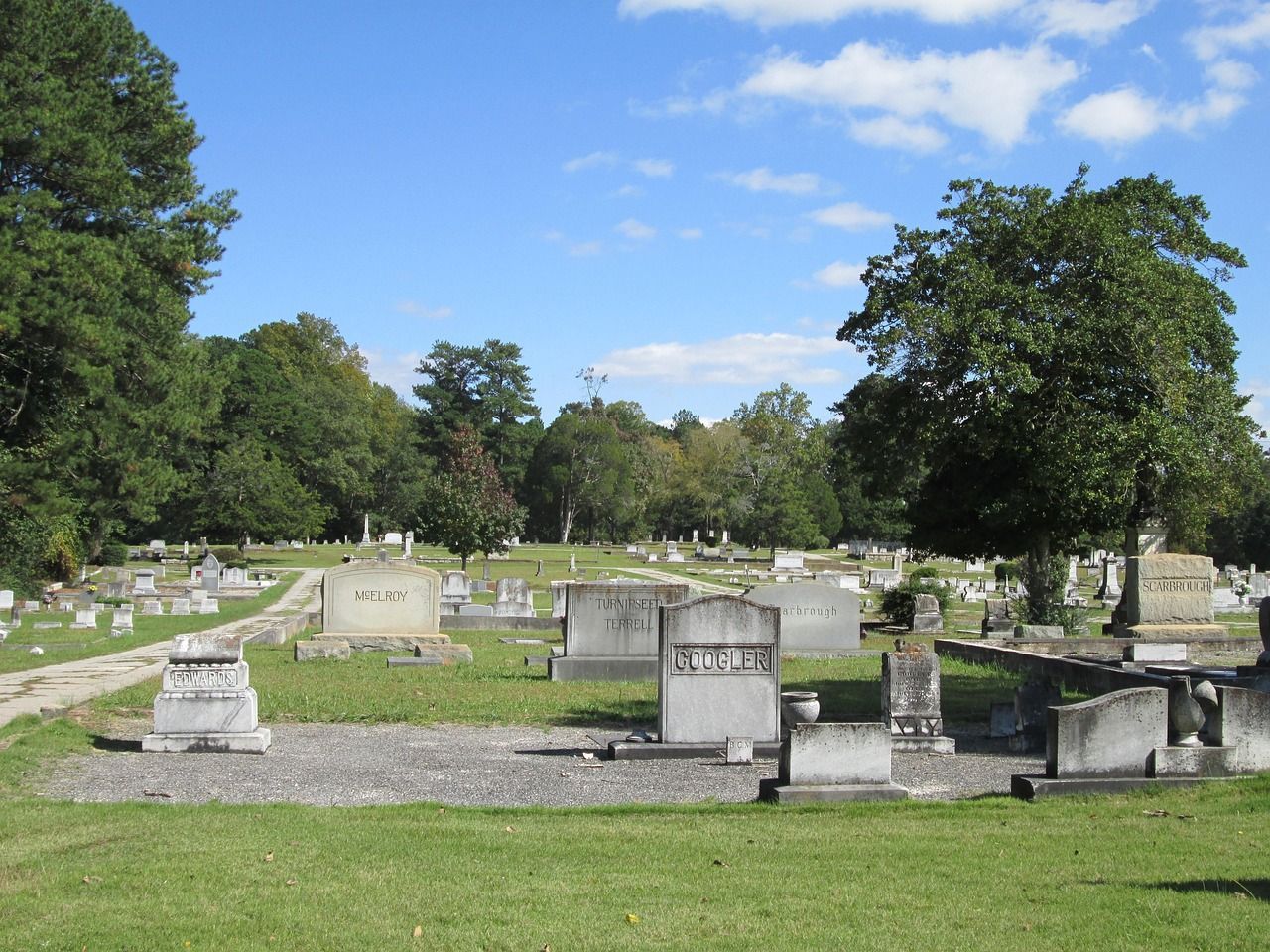 Overgrown graveyard blending with nature, representing remembrance, passage of time, and quiet reflection.