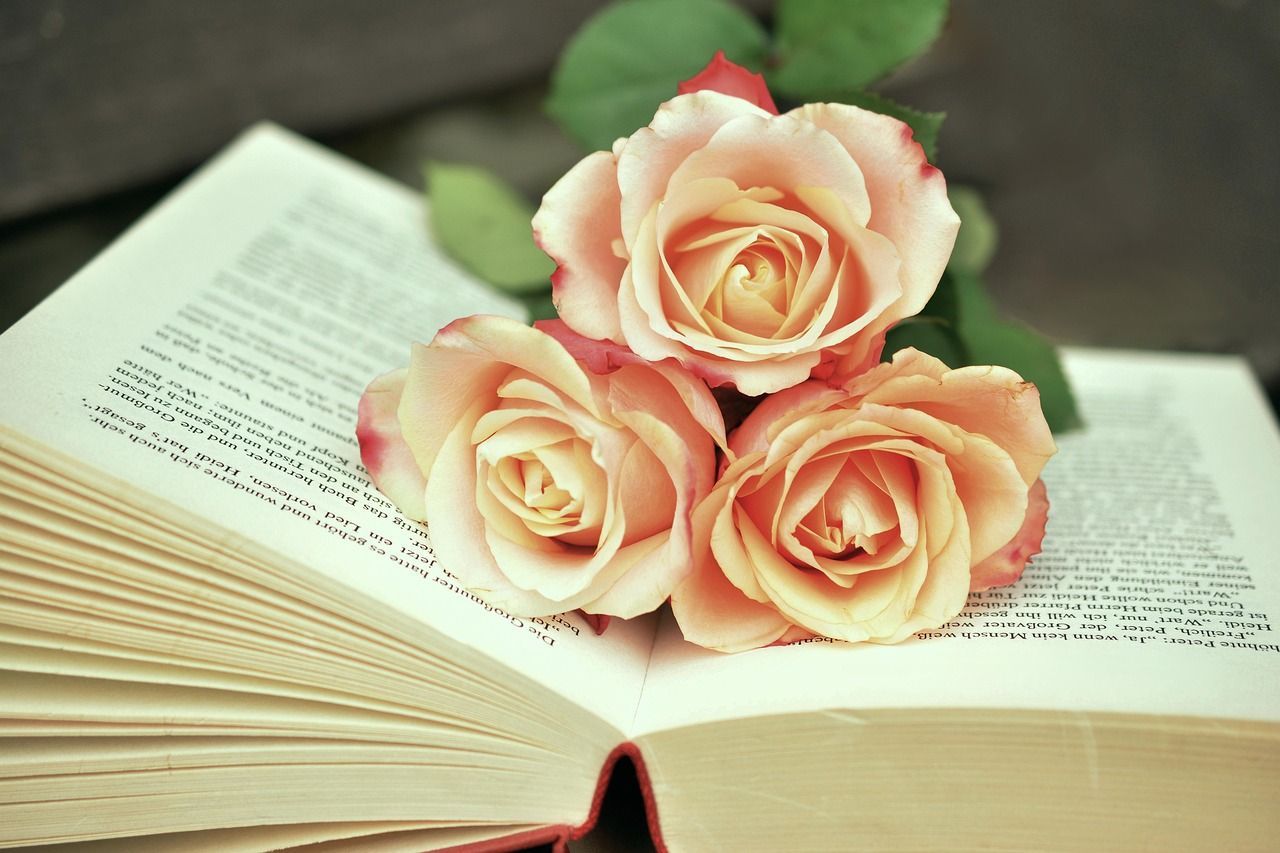 Open book with roses resting on the pages, symbolizing remembrance and reflection