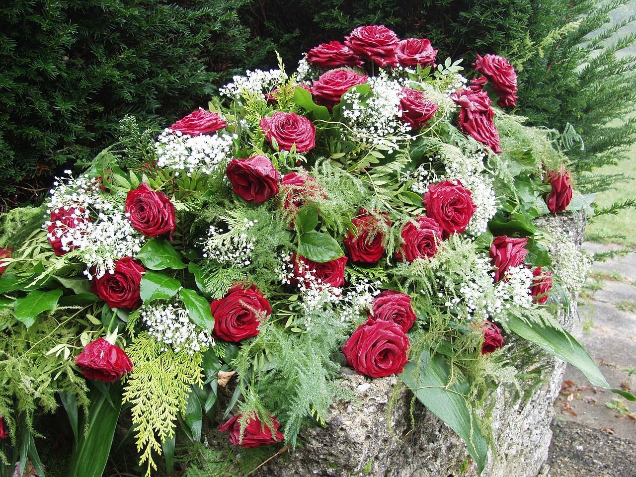 Roses placed in a misty graveyard, symbolizing grief and remembrance
