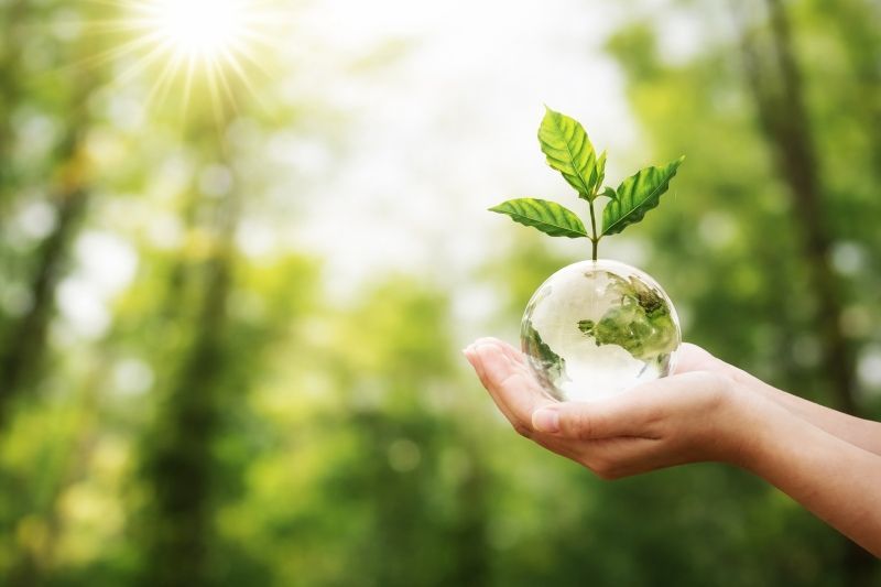 Hands gently holding a glass globe with a sprouting plant, symbolizing eco-friendly care from a Shakopee, MN funeral home and cremations.