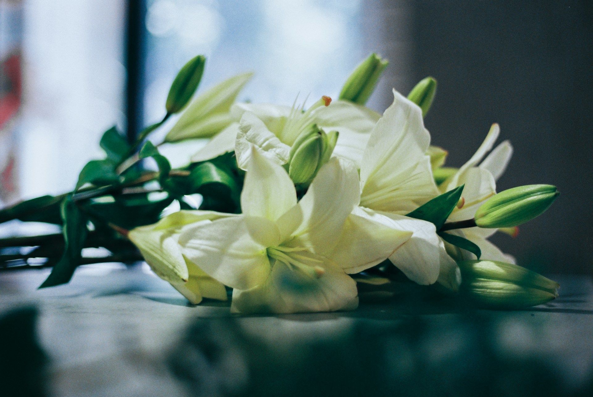 Bouquet of white flowers arranged on a table as a symbol of peace and remembrance.