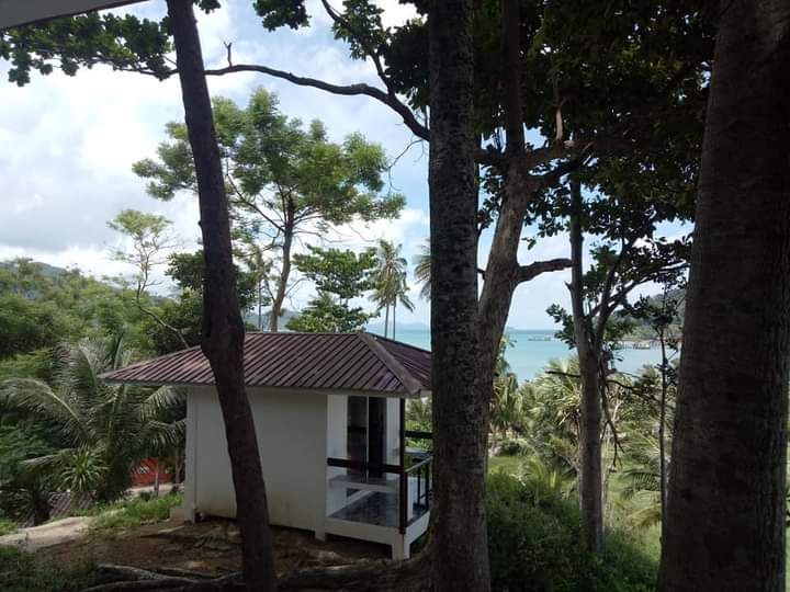 Cliff top bungalow with amazing seaview