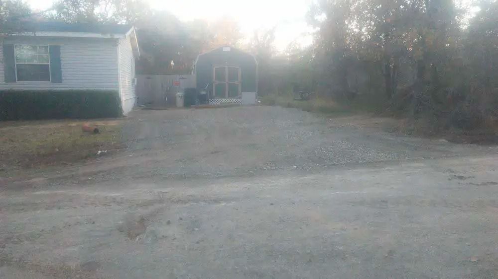 Rural driveway leading to a small house and trees in soft daylight