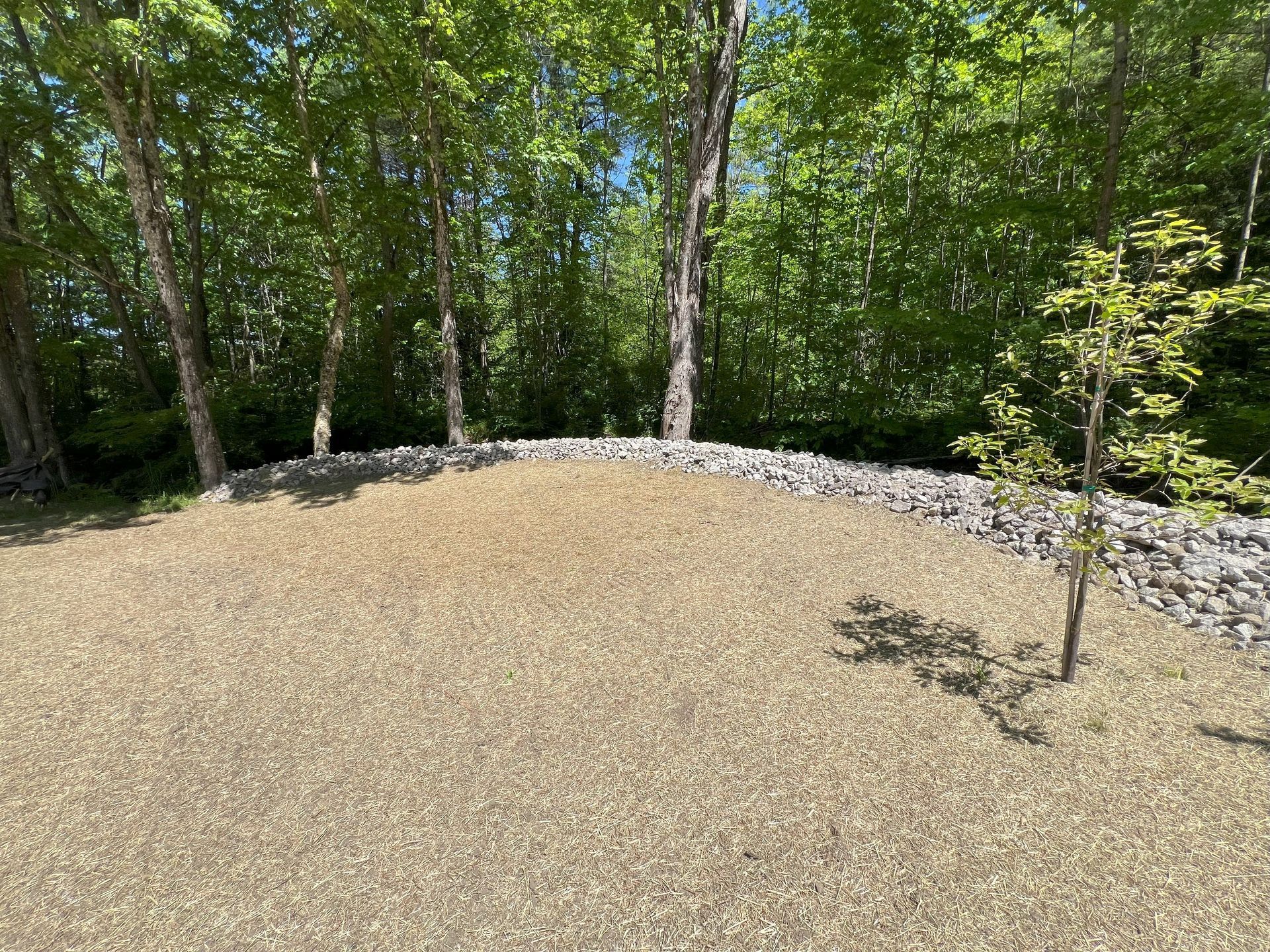 Gravel area with small tree, bordered by rocks, in front of a line of trees with green foliage.