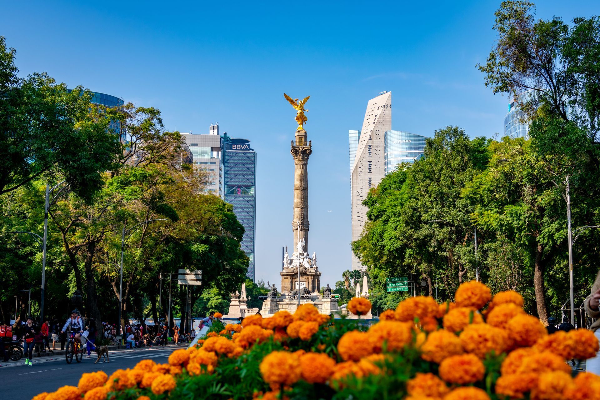moving to Mexico City