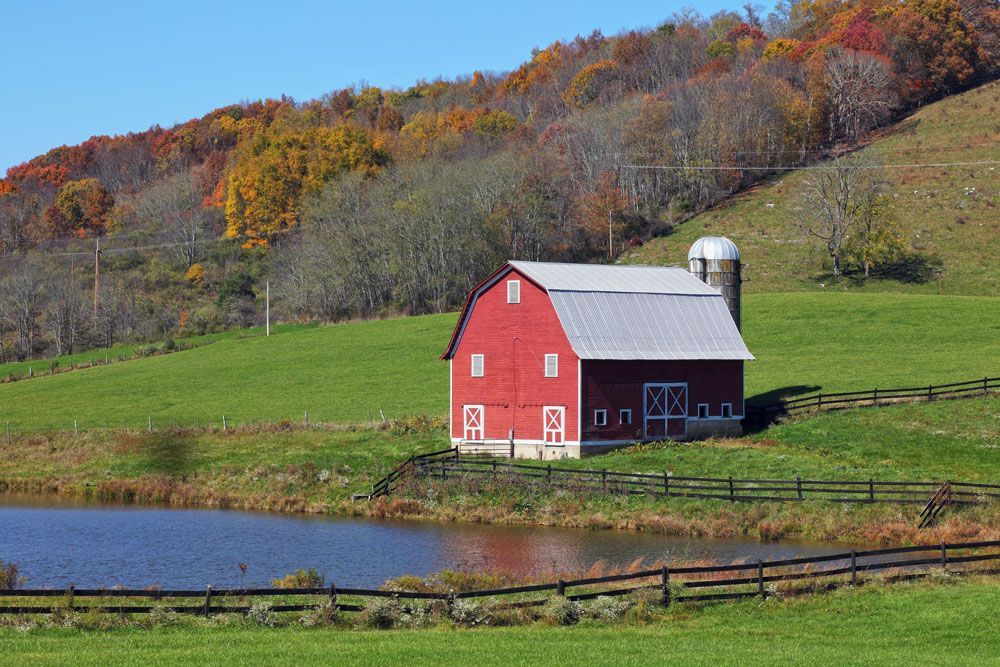 A red barn is sitting in the middle of a grassy field next to a pond.