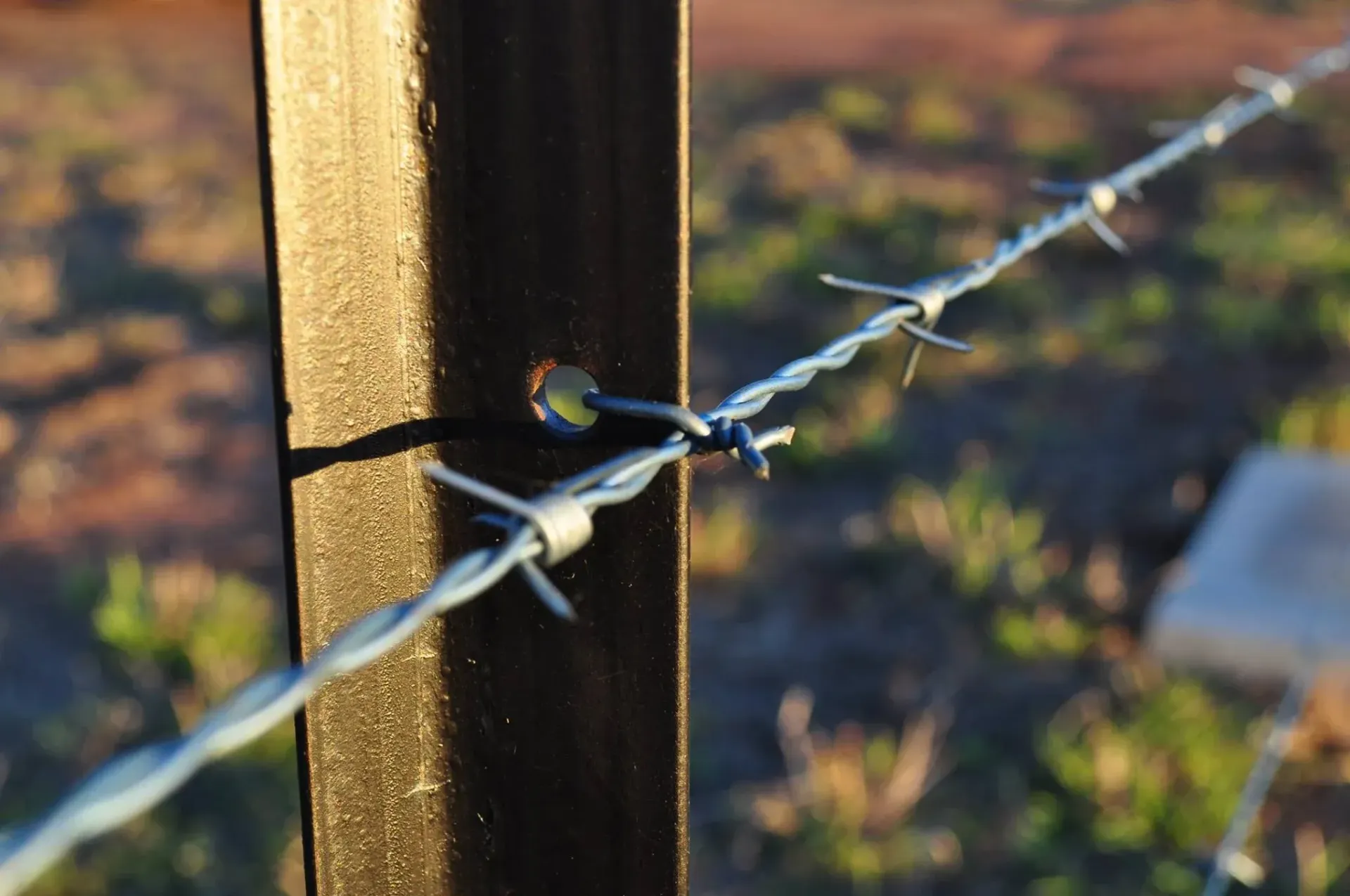 Barbed wire fence attached to a dark wooden post, in a field, with out-of-focus background.