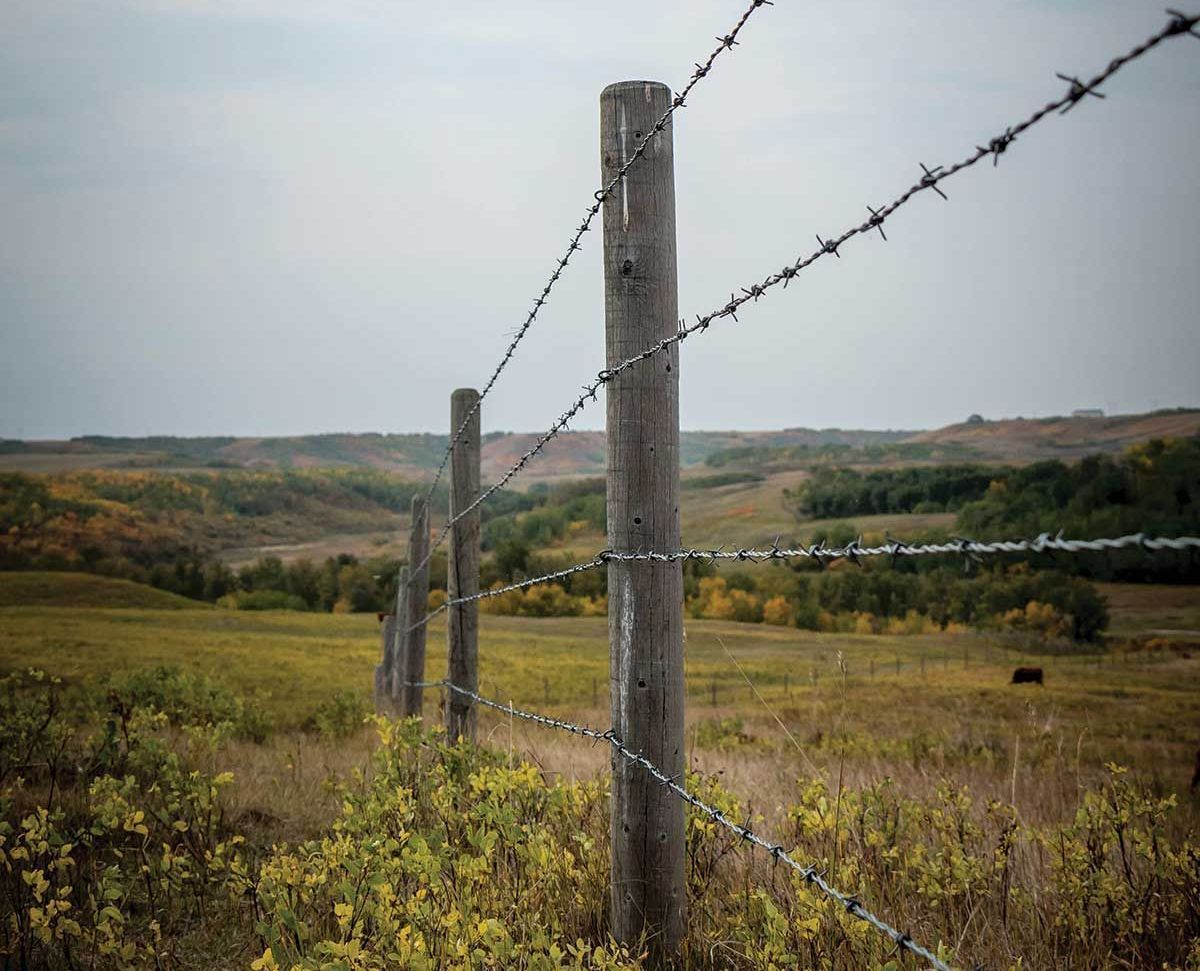 Barbed wire fence with wooden posts in a field with trees and a cloudy sky.
