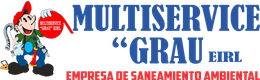 Multiservice Grau logo