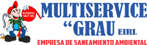 Multiservice Grau logo