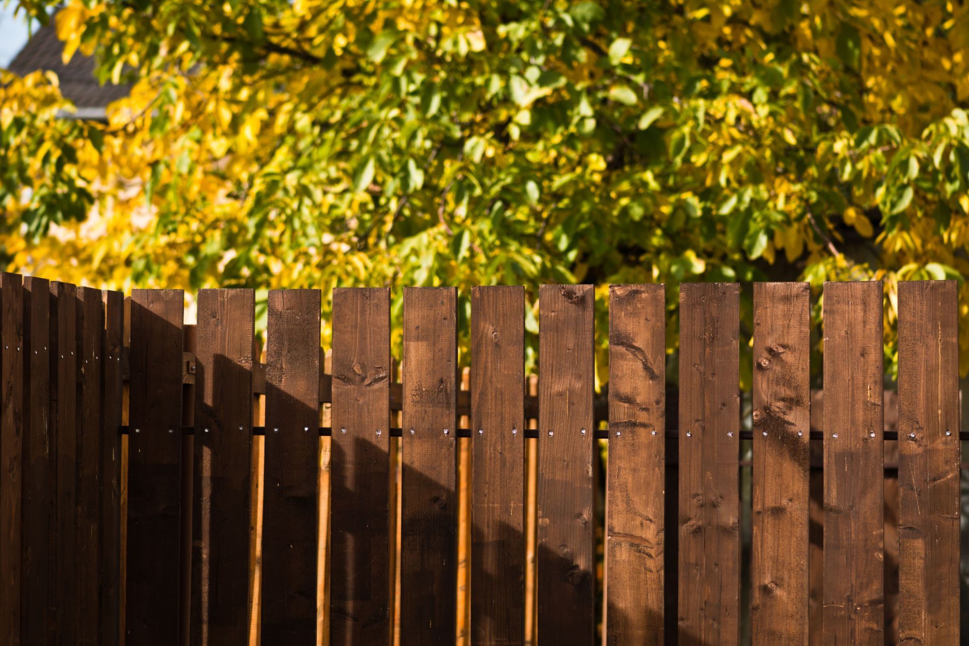 a wooden fence with a tree in the background .