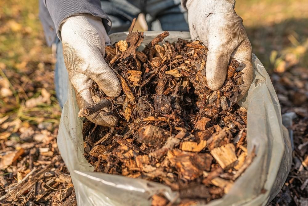 A Person Is Holding a Bag of Wood Chips in Their Hands — S & L Sand & Gravel in South Lismore, NSW