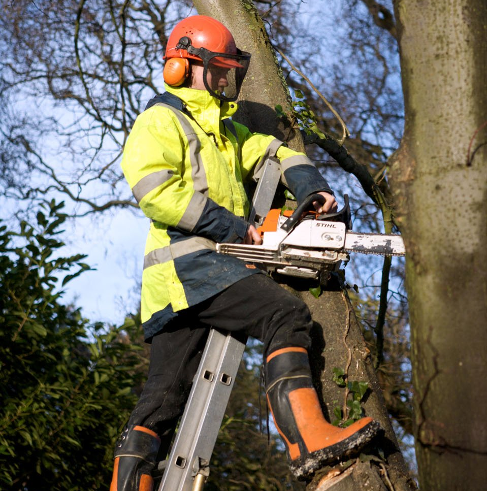 Tree surgery