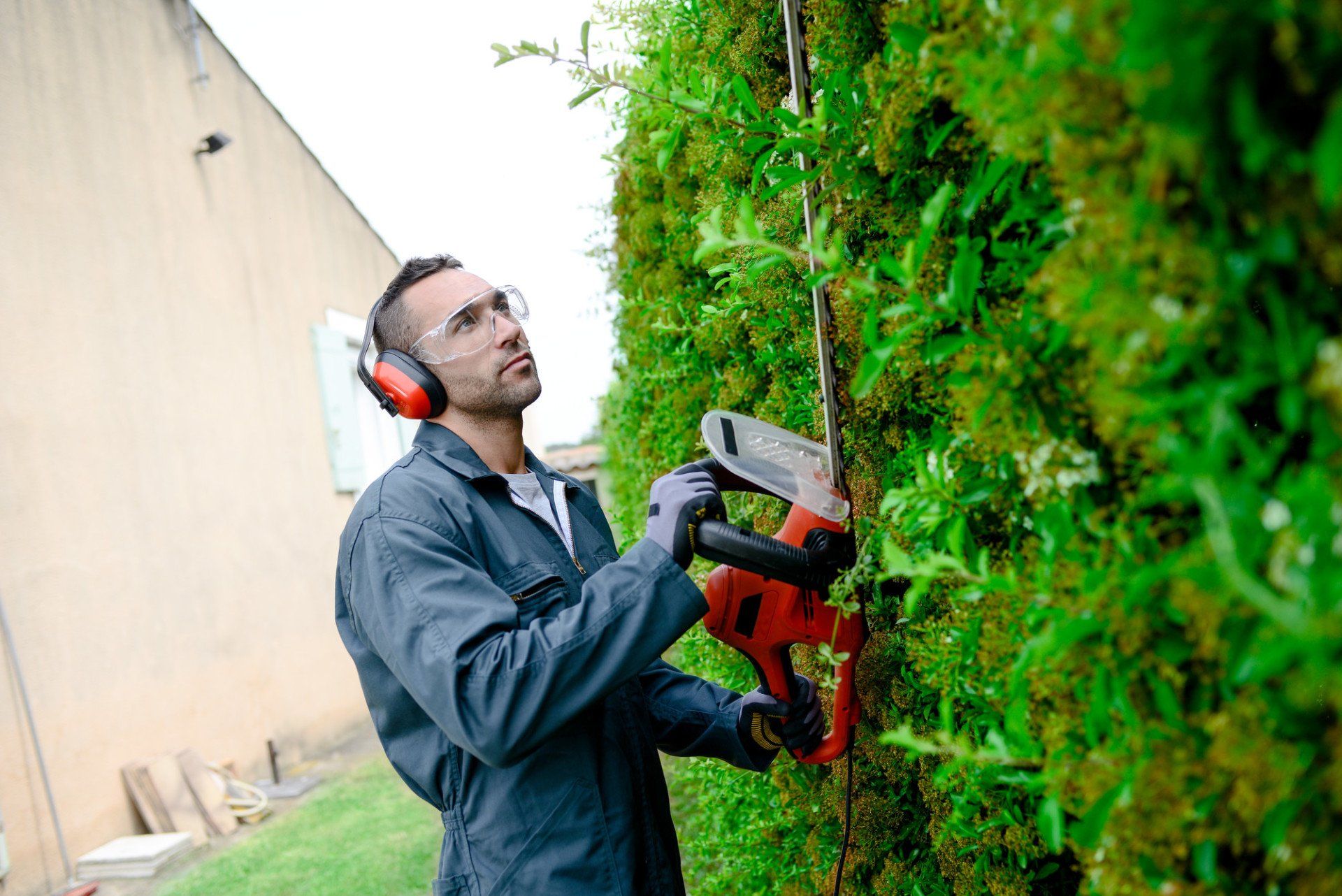 Hedge trimming