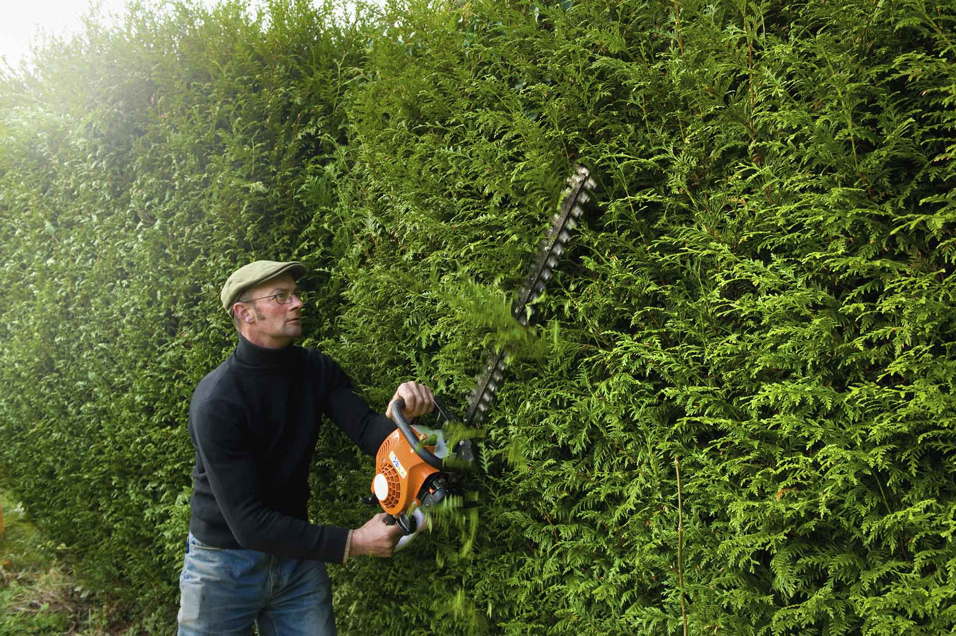 Hedge trimming services