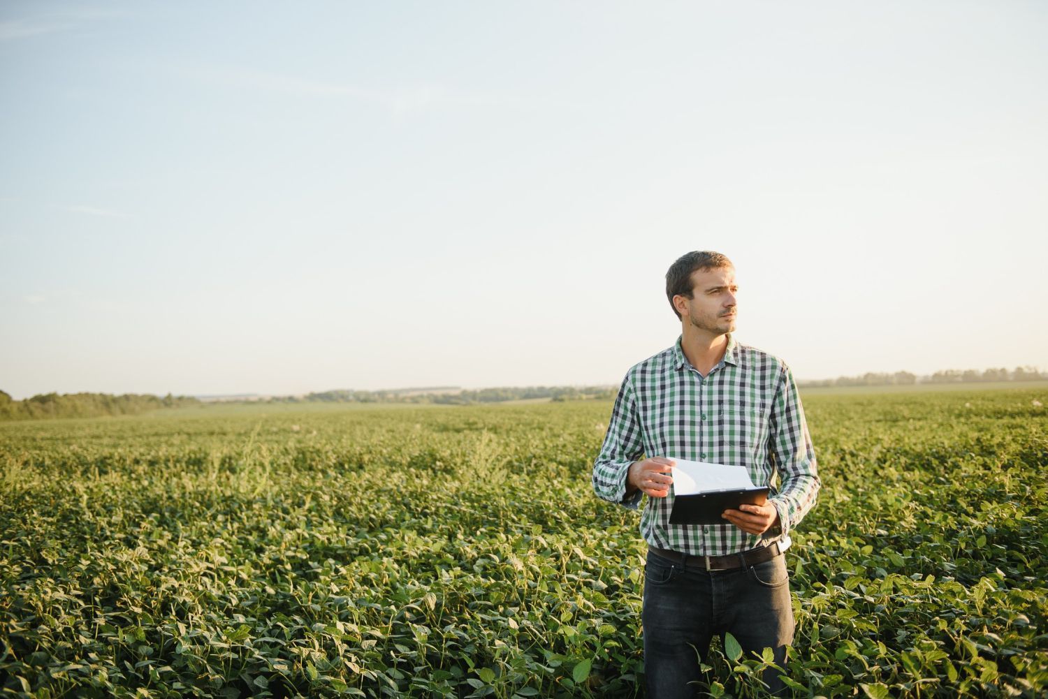 Tow truck with two damaged vehicles, a red SUV and a white sedan, at a traffic intersection.