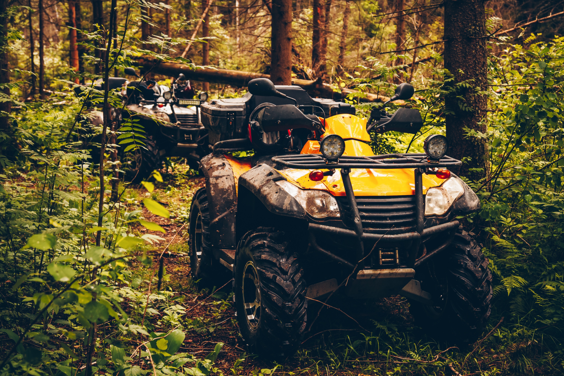 Couple in a convertible car, smiling while driving through a green, wooded area on a sunny day.