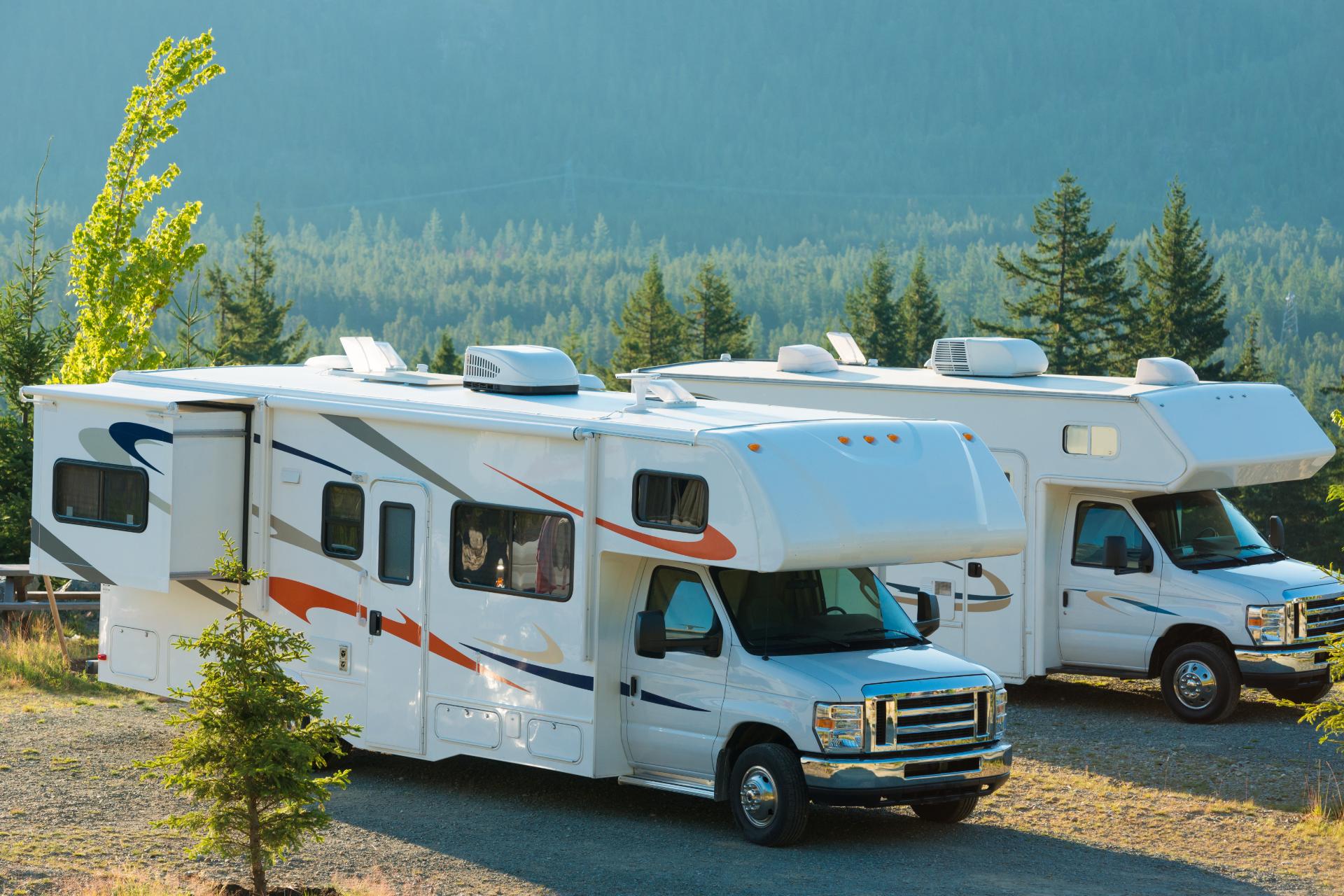 Two white recreational vehicles parked on a gravel lot backed by a forest of pine trees under a clear blue sky.