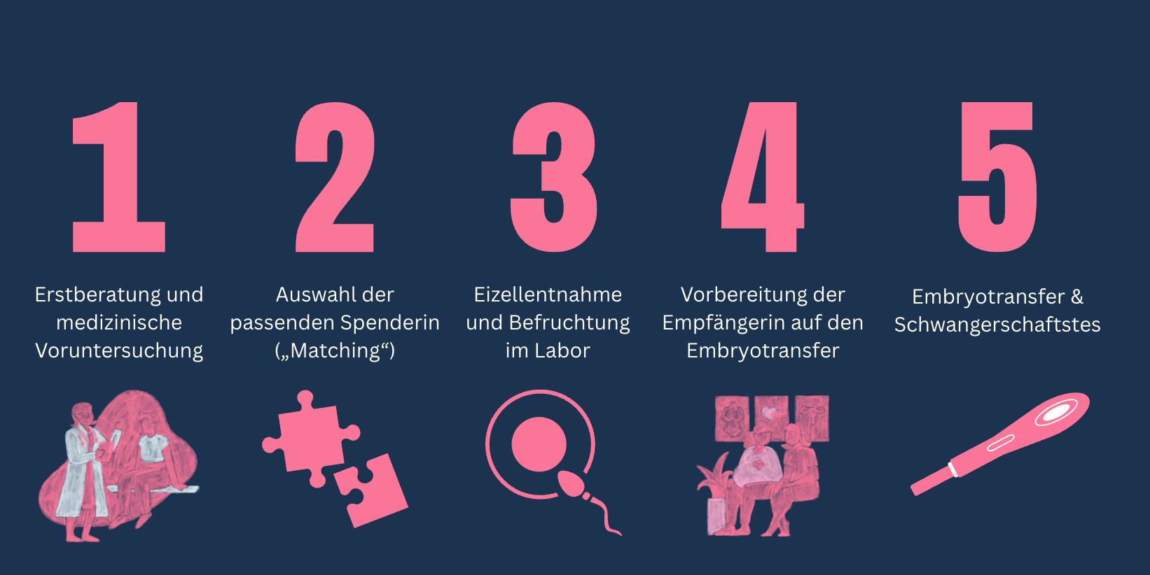 eizellspende ablauf