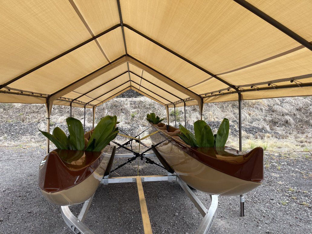 Two potted plants are sitting under a tent.
