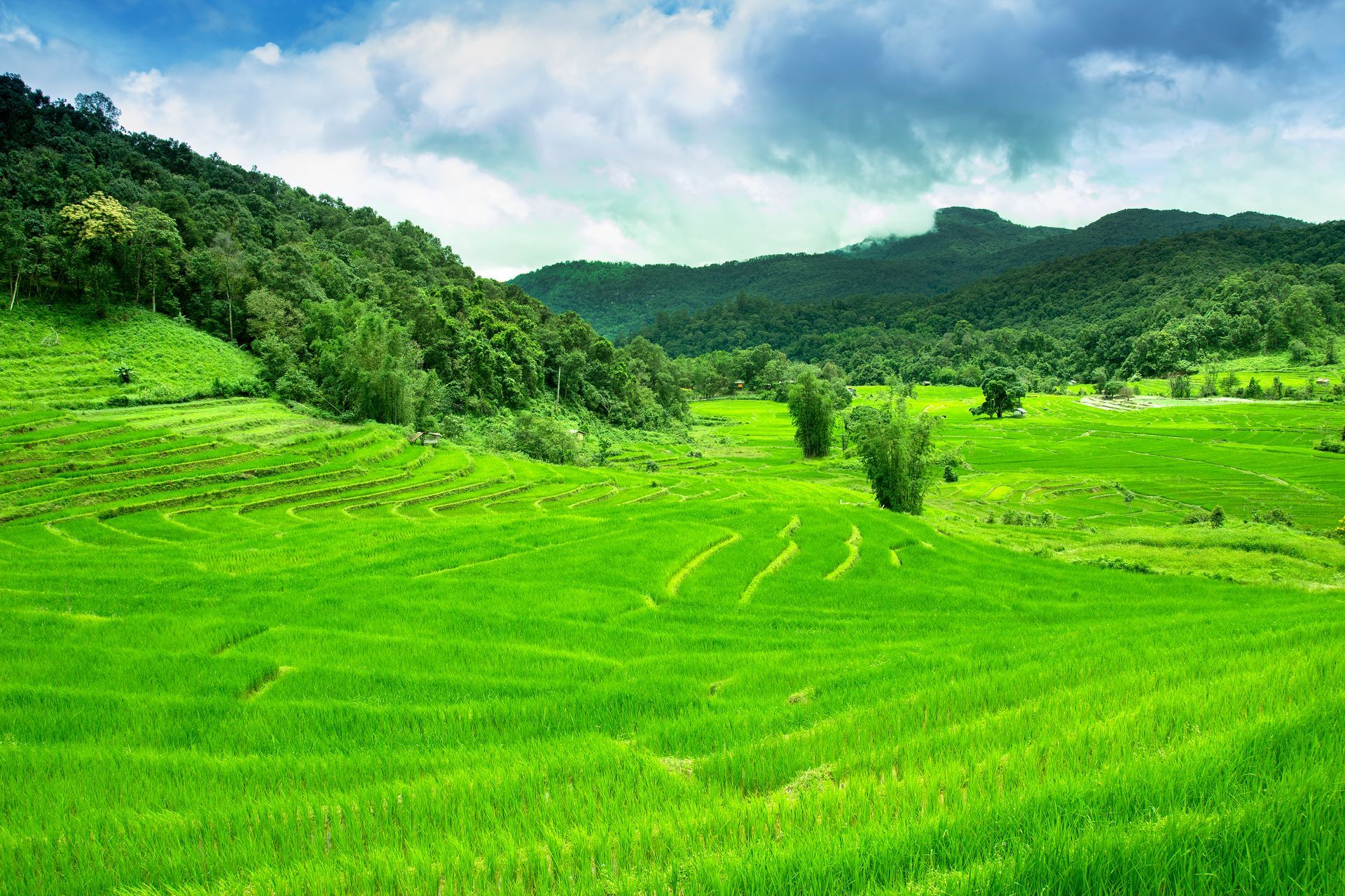 Agriculture — Littlefield, TX — Rowe Abstract & Title Company