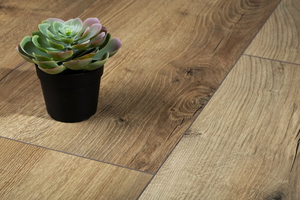 A Potted Plant Is Sitting On A Wooden Floor — Corbett Brothers Flooring In New Castle, NSW