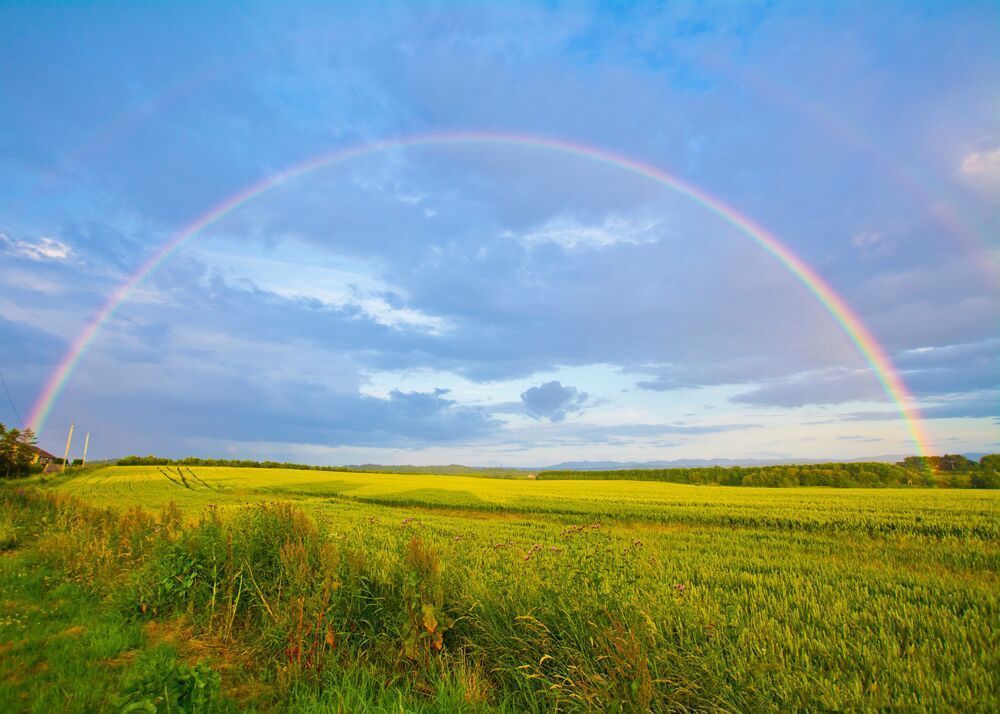 Symbolbild, Regenbögen über einer Wiese (Bild: frei lizensiert / Unsplash)