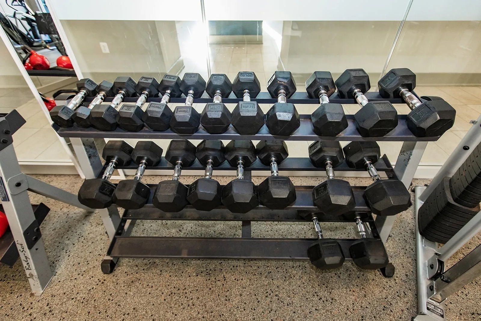 Fitness center weight rack at The Southerly.