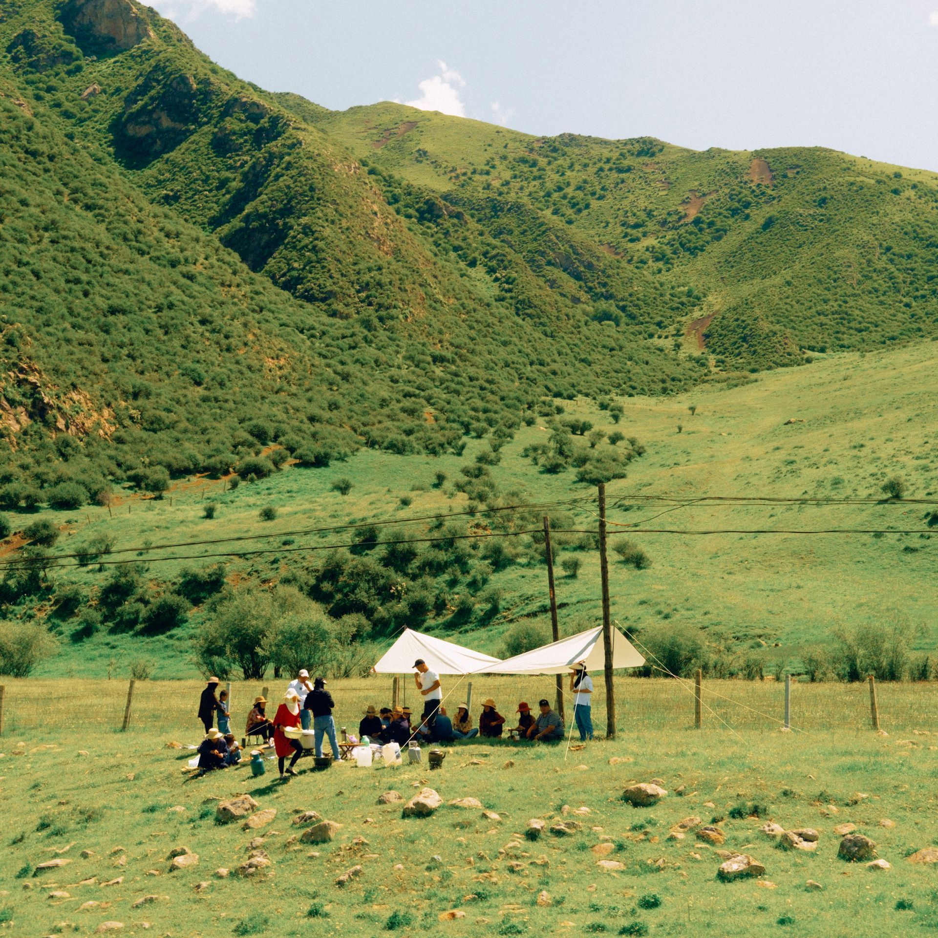 People under a canopy in a grassy field with a mountain backdrop.