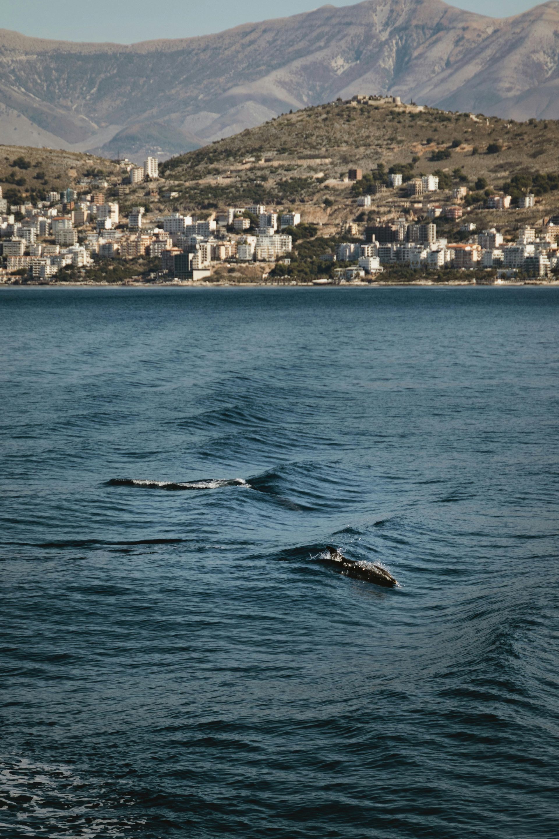 How to get to Sarandë, Saranda ferry from Corfu, Saranda Albania transport, Saranda travel routes, S
