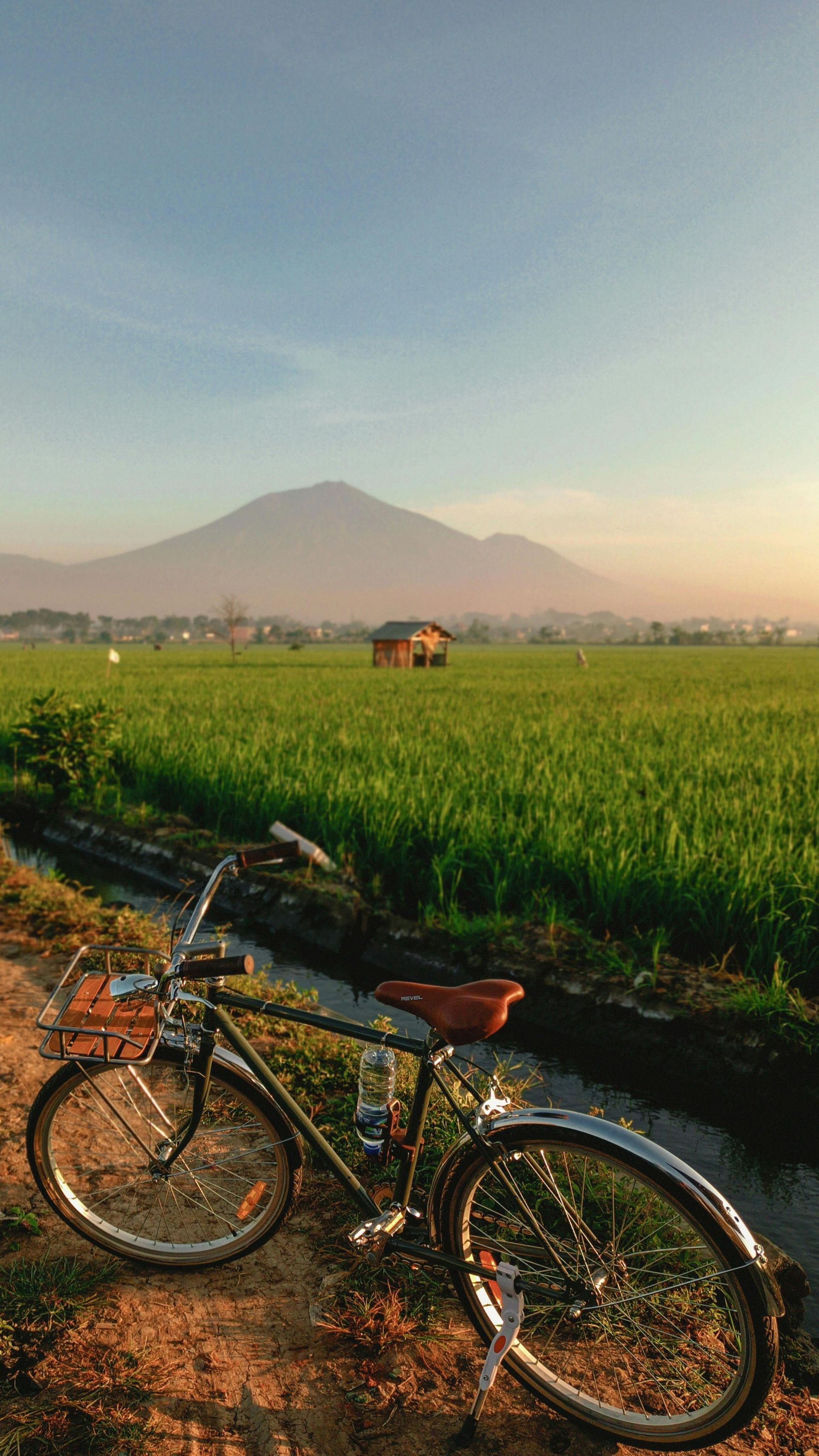 Bicycle parked on a dirt path next to a green rice field with a mountain and small hut in the background.