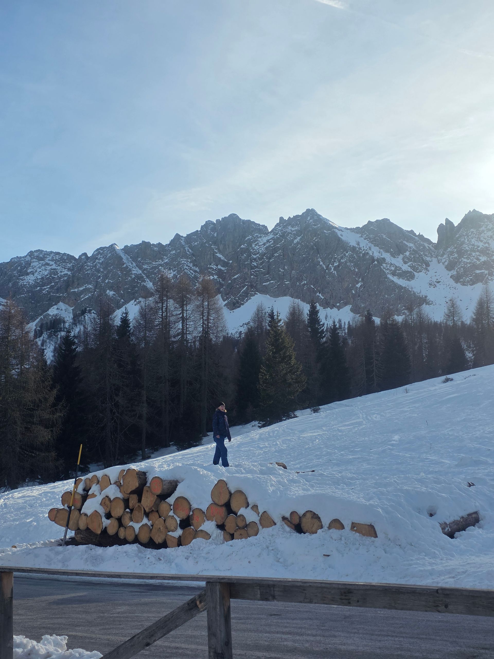Een besneeuwd berglandschap met een persoon die bij een stapel boomstammen staat, met een bos en een heldere hemel op de achtergrond.