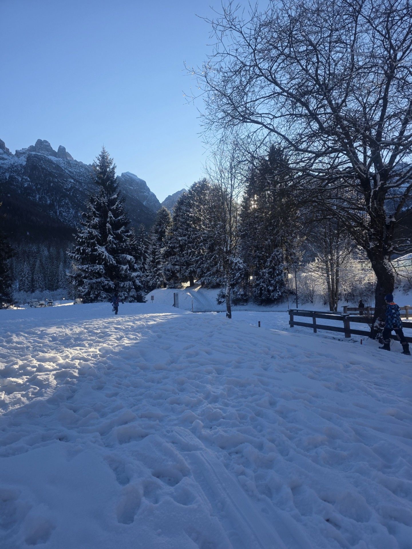 Een met sneeuw bedekt veld met bomen en bergen op de achtergrond onder een heldere, zonnige hemel.