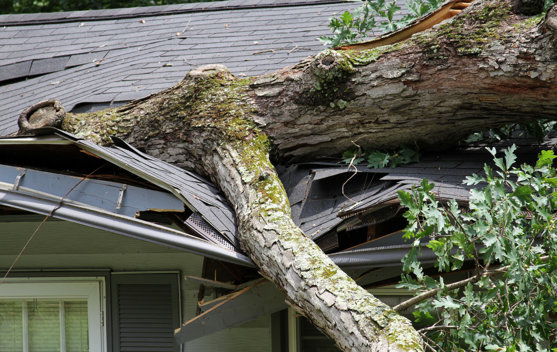 roof installation repairs dallas fort worth dfw