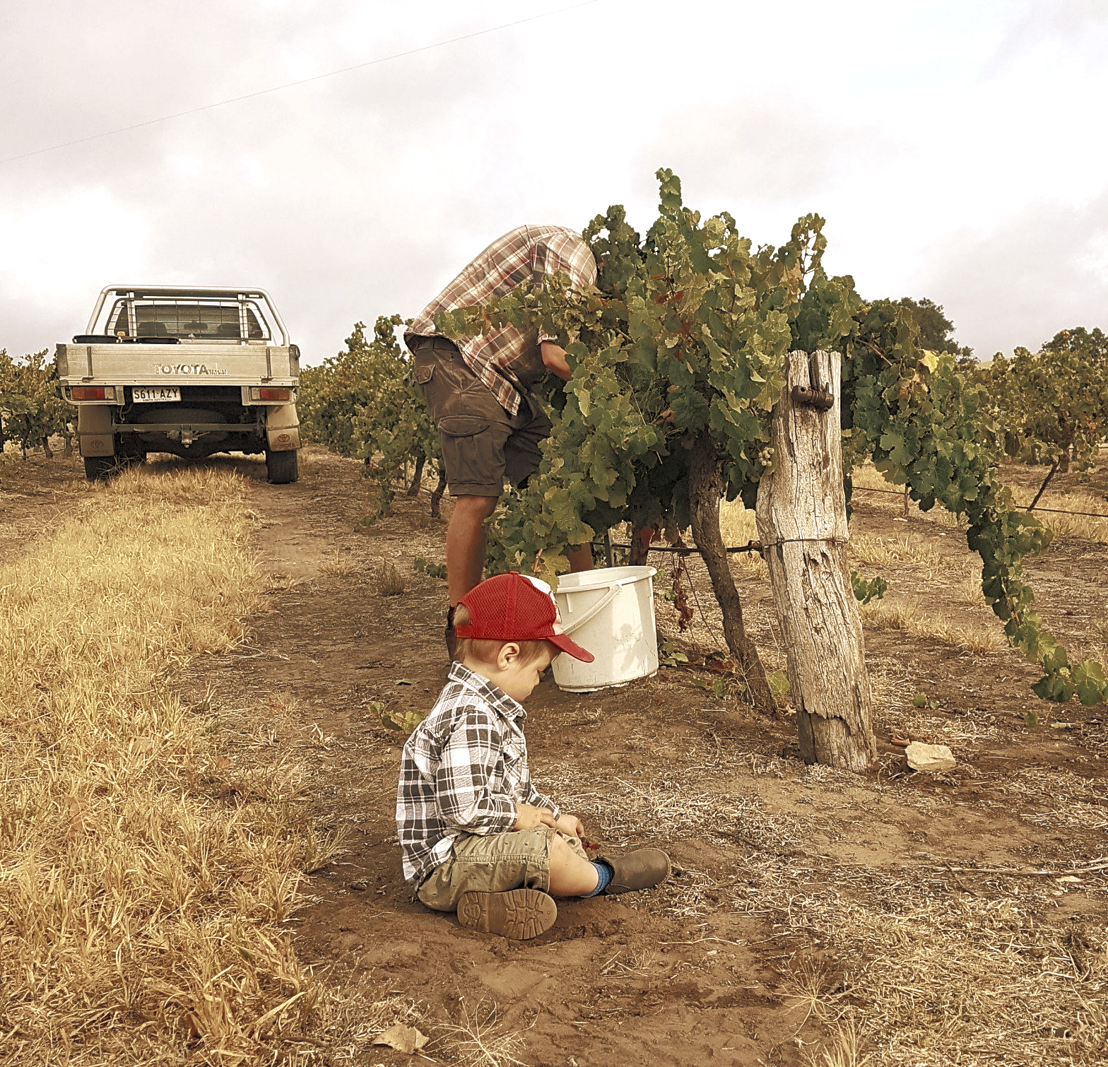 Hand picked Eden Valley Riesling by Xavier Barr