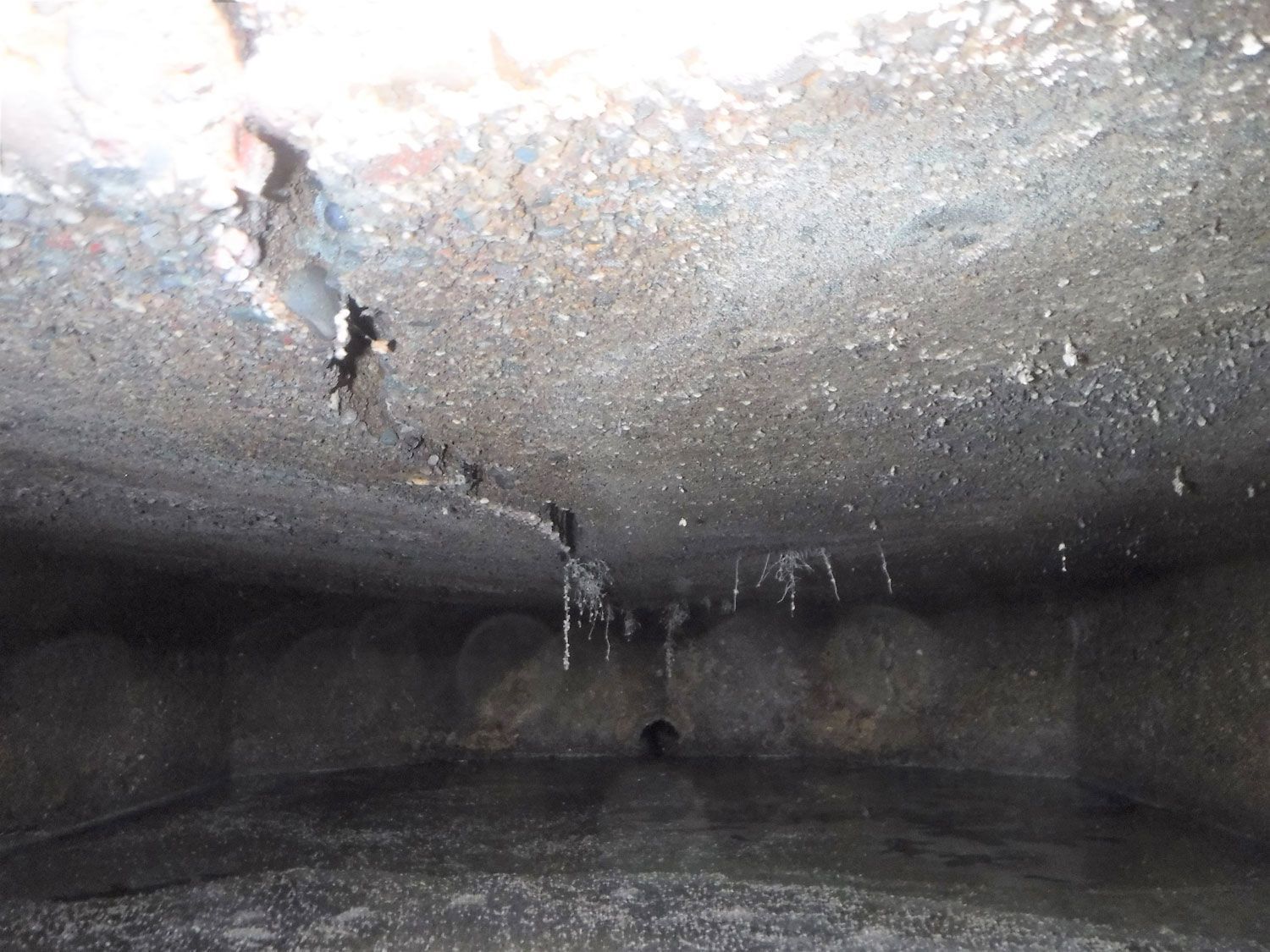 Septic Evaluations