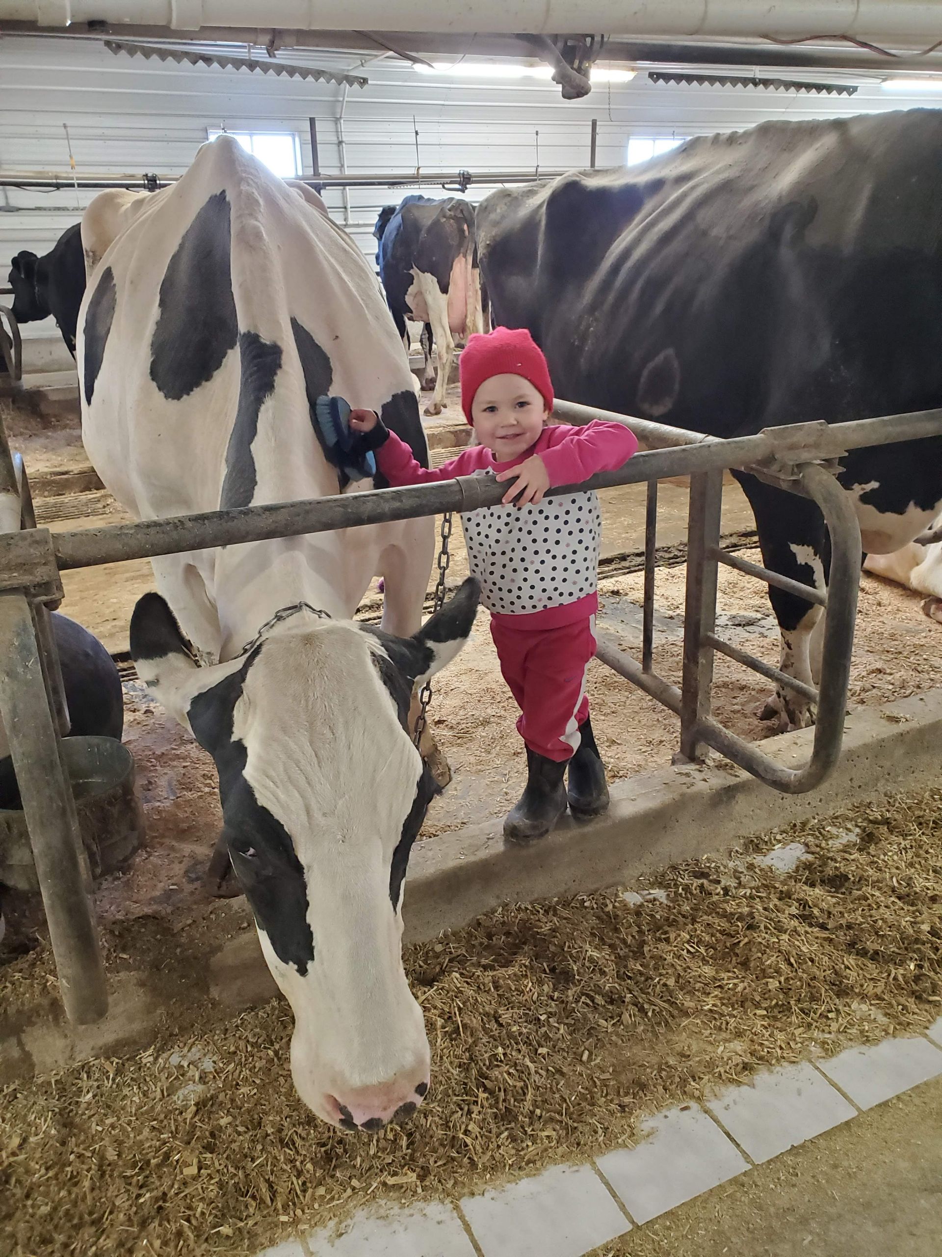 Helpers at Rokeyroad Creamery