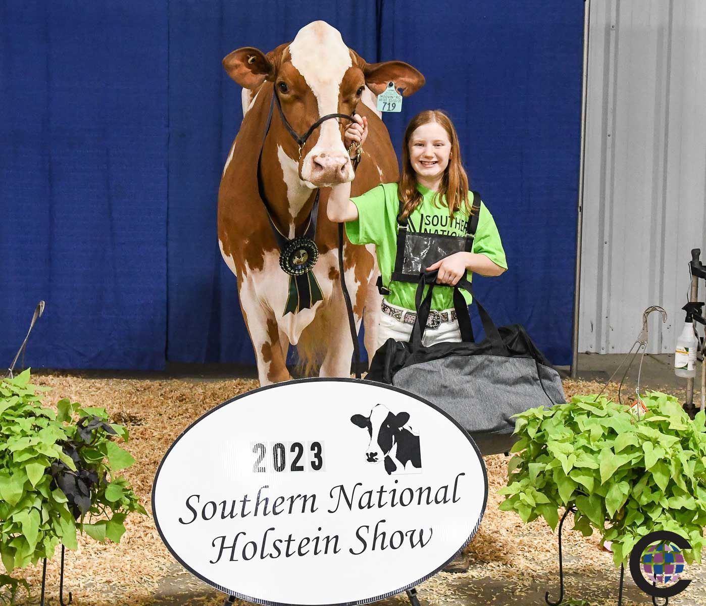 Awards at Rokeyroad Creamery