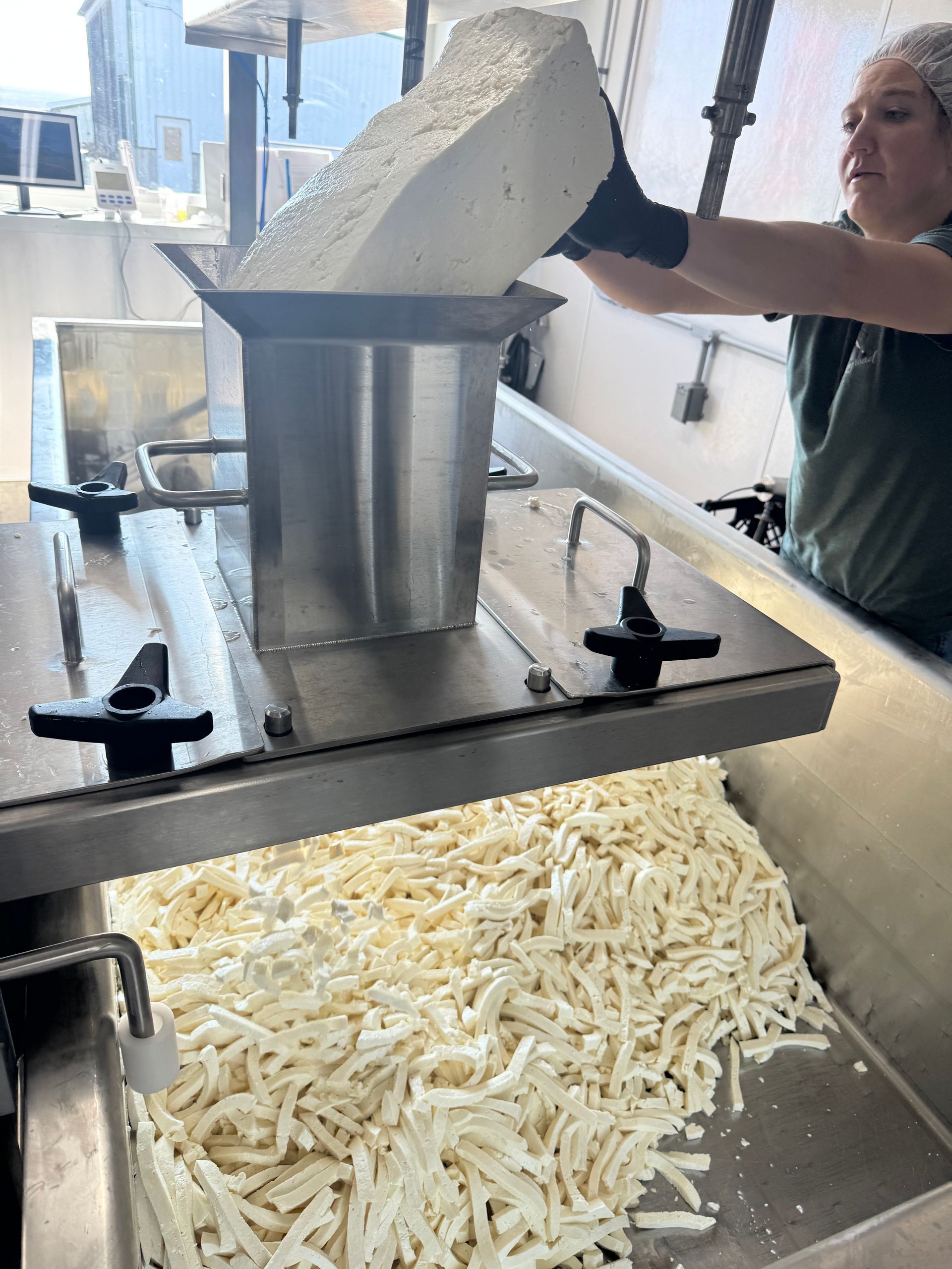 Holstein pair at Rokeyroad Creamery