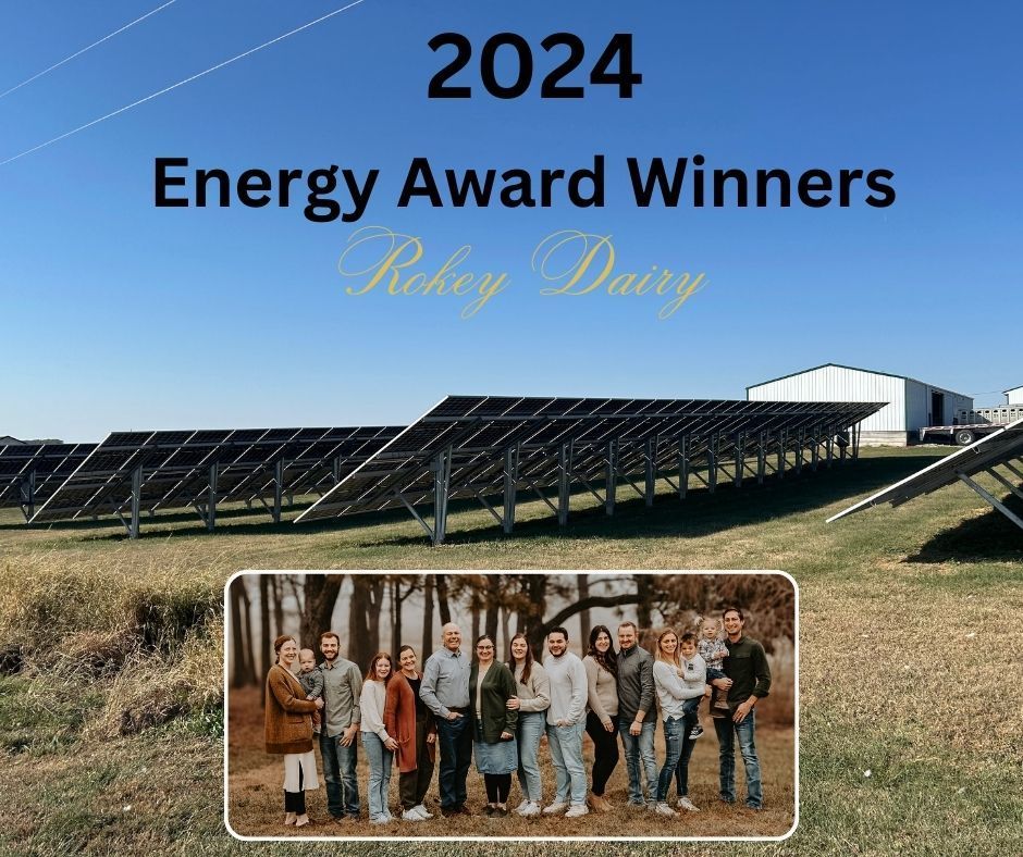 Awards at Rokeyroad Creamery