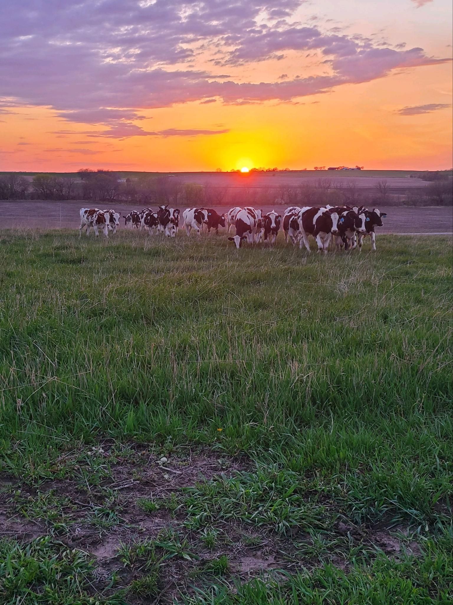 Rokeyroad Creamery Sunset