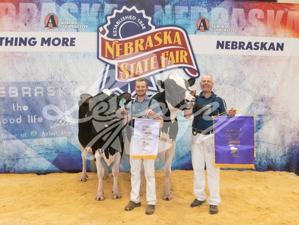 Awards at Rokeyroad Creamery