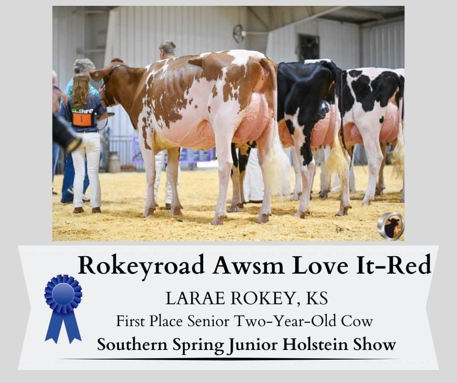 Awards at Rokeyroad Creamery